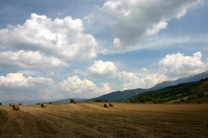 世界登山青年导师远程教学平台正式上线，登山专家