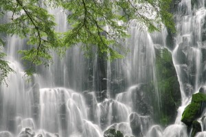 世界拳击锦标赛赛场气象与比赛调度研究发布，世界拳击锦标赛简称