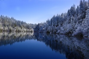世界登山青年导师生态修复示范区第三批揭牌，国际登山联合会认证